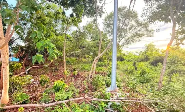 2608 sqm Lot For Sale- Bolod, Panglao