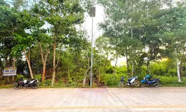 2608 sqm Lot For Sale- Bolod, Panglao
