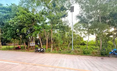 2608 sqm Lot For Sale- Bolod, Panglao