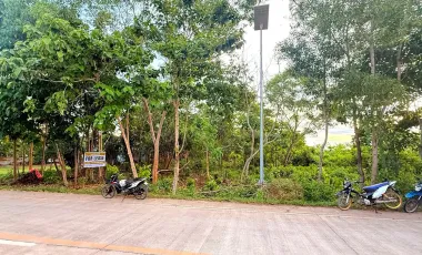 2608 sqm Lot For Sale- Bolod, Panglao