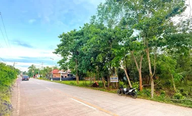 2608 sqm Lot For Sale- Bolod, Panglao