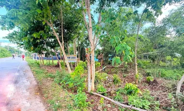 2608 sqm Lot For Sale- Bolod, Panglao