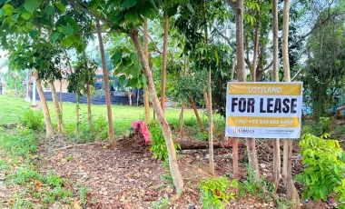 2608 sqm Lot For Sale- Bolod, Panglao