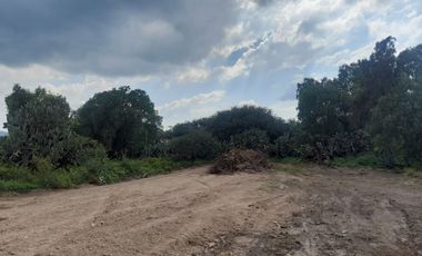 TERRENO EN VENTA EN ACTOPAN, POZO GRANDE