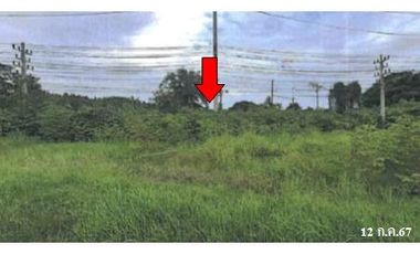 ทรัพย์ บสส. รหัส LL0029 บ้านเดี่ยว ชัยภูมิ