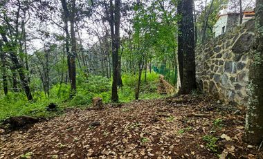 Venta QUINTA ANDREA HUASCA BOSCOSO