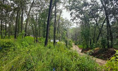 Venta QUINTA ANDREA HUASCA BOSCOSO