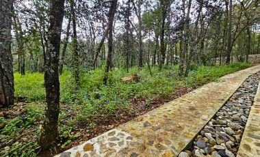 Venta QUINTA ANDREA HUASCA BOSCOSO