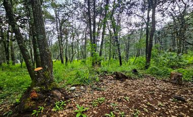 Venta QUINTA ANDREA HUASCA BOSCOSO