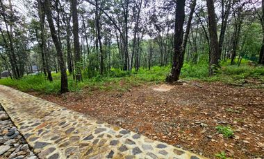 Venta QUINTA ANDREA HUASCA BOSCOSO