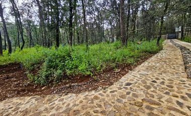 Venta QUINTA ANDREA HUASCA BOSCOSO