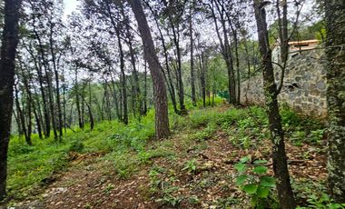 Venta QUINTA ANDREA HUASCA BOSCOSO