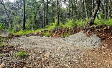 Venta QUINTA ANDREA HUASCA BOSCOSO