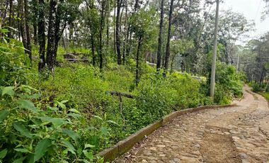 Venta QUINTA ANDREA HUASCA BOSCOSO