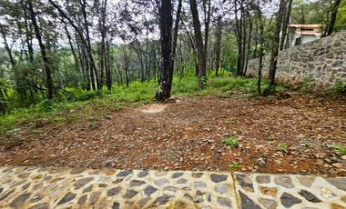 Venta QUINTA ANDREA HUASCA BOSCOSO