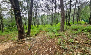 Venta QUINTA ANDREA HUASCA BOSCOSO