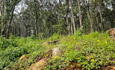 Venta QUINTA ANDREA HUASCA BOSCOSO