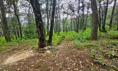 Venta QUINTA ANDREA HUASCA BOSCOSO