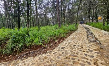 Venta QUINTA ANDREA HUASCA BOSCOSO