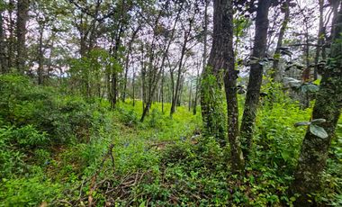 Venta QUINTA ANDREA HUASCA BOSCOSO