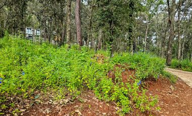 Venta QUINTA ANDREA HUASCA BOSCOSO