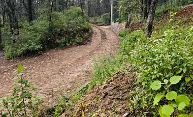 Venta QUINTA ANDREA HUASCA BOSCOSO