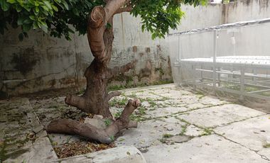 rumah 425 m2 di kedamaian bandar lampung