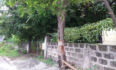 The commercial lot for sale near Santa Rosa City Hall, Santa Rosa, Laguna