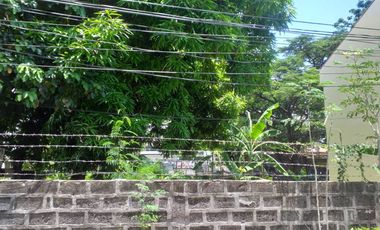 The commercial lot for sale near Santa Rosa City Hall, Santa Rosa, Laguna