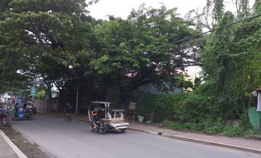 The commercial lot for sale near Santa Rosa City Hall, Santa Rosa, Laguna