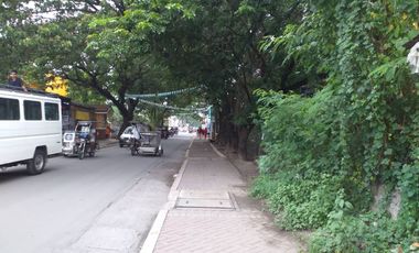 The commercial lot for sale near Santa Rosa City Hall, Santa Rosa, Laguna