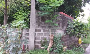 The commercial lot for sale near Santa Rosa City Hall, Santa Rosa, Laguna