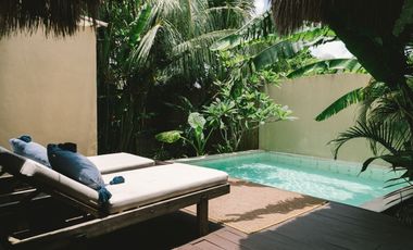 Two private luxury villas in El Nido for sale with pools, profitable business, walking distance to Nacpan Beach