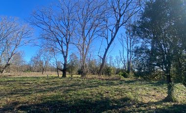 Oportunidad parcela a minutos de frutillar