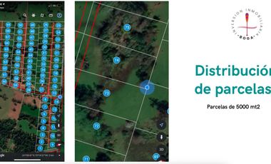 Oportunidad parcela a minutos de frutillar