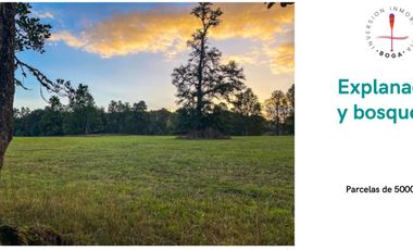 Oportunidad parcela a minutos de frutillar