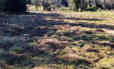 Oportunidad parcela a minutos de frutillar