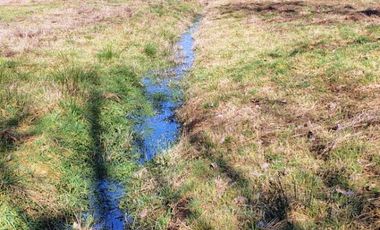 Oportunidad parcela a minutos de frutillar
