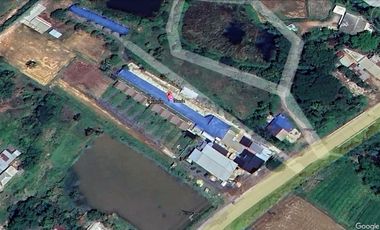 Resort for sale for investment in Nong Bua Daeng District, Chaiyaphum Province. Land area: 8-1-3.6 rai