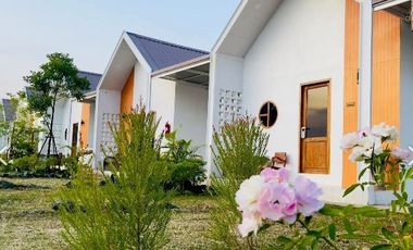 Resort for sale for investment in Nong Bua Daeng District, Chaiyaphum Province. Land area: 8-1-3.6 rai