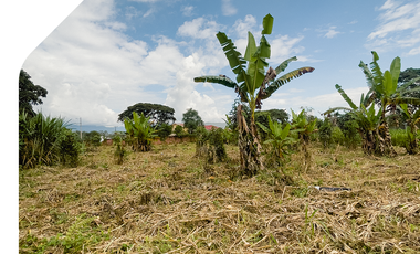 Terrneo en Sucúa, Amazonía. Terreno en Moronsa Santiago. Propiedad en el Paraíso de la Amazonía
