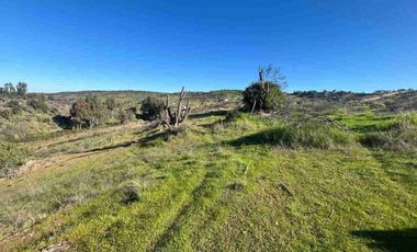 PARCELAS PLANAS!!! GRAN OPORTUNIDAD VI REGION a 2.20 hrs Stgo