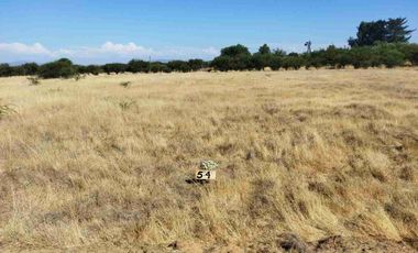 PARCELAS PLANAS!!! GRAN OPORTUNIDAD VI REGION a 2.20 hrs Stgo