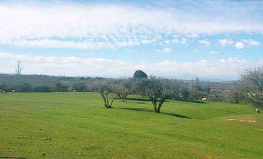 PARCELAS PLANAS!!! GRAN OPORTUNIDAD VI REGION a 2.20 hrs Stgo