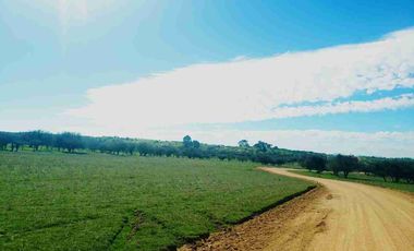 PARCELAS PLANAS!!! GRAN OPORTUNIDAD VI REGION a 2.20 hrs Stgo