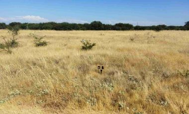 PARCELAS PLANAS!!! GRAN OPORTUNIDAD VI REGION a 2.20 hrs Stgo