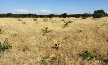 PARCELAS PLANAS!!! GRAN OPORTUNIDAD VI REGION a 2.20 hrs Stgo