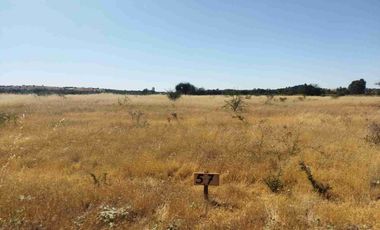 PARCELAS PLANAS!!! GRAN OPORTUNIDAD VI REGION a 2.20 hrs Stgo