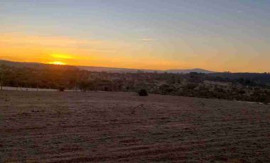 PARCELAS PLANAS!!! GRAN OPORTUNIDAD VI REGION a 2.20 hrs Stgo