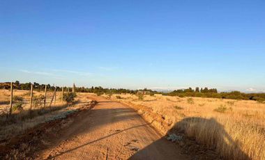 OPORTUNIDAD INVERSIÓN VI REGION a 2.20 hrs Stgo